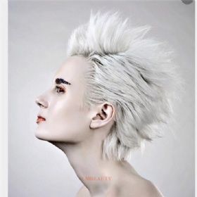 Hand Tied Human Hair Swiss Lace Men/Women Toupee