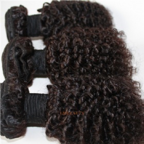 Peruvian Virgin Hair Kinky Curl Hair Weft